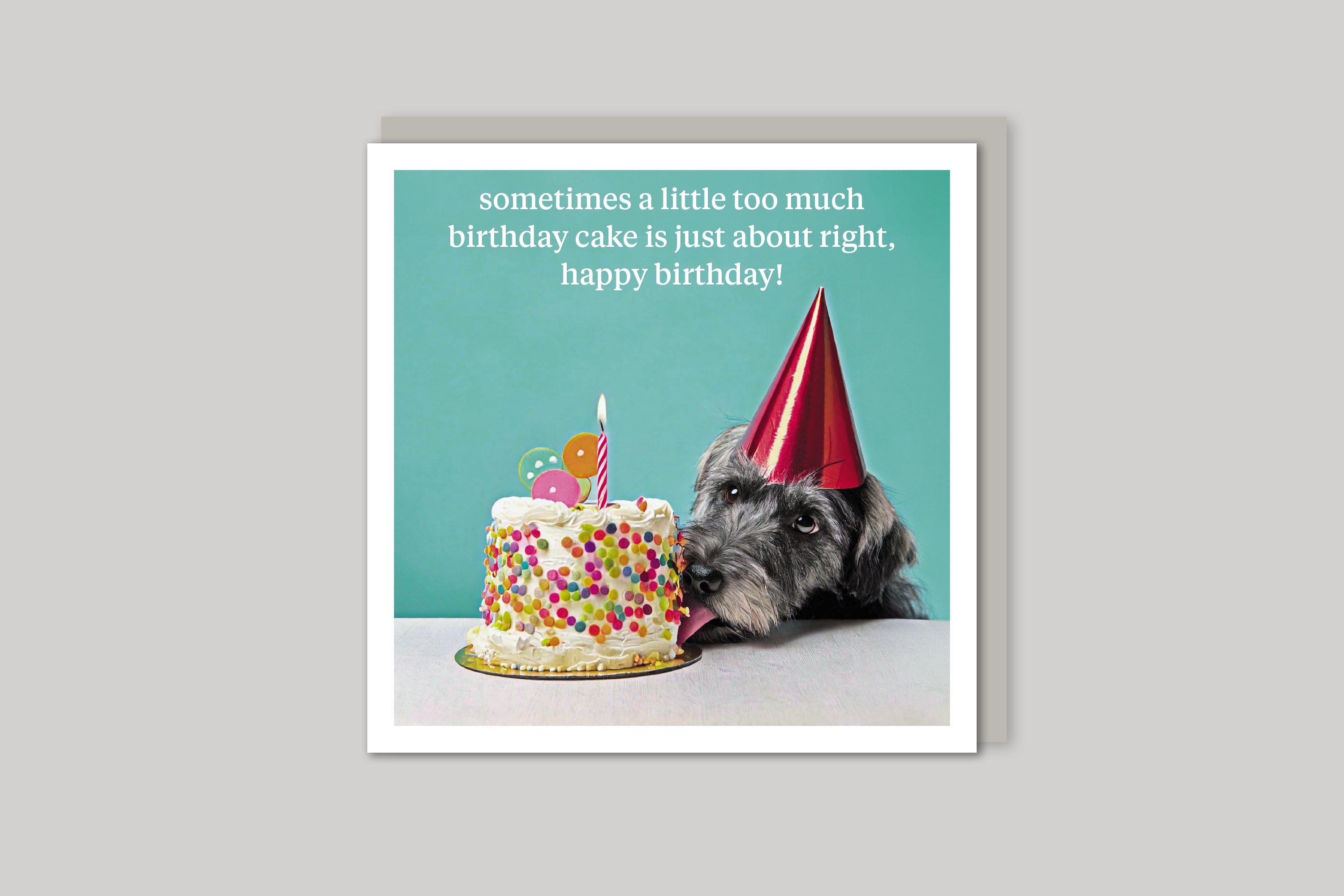 Too Much Cake quirky animal portrait from Curious World range of greeting cards by Icon, with envelope.