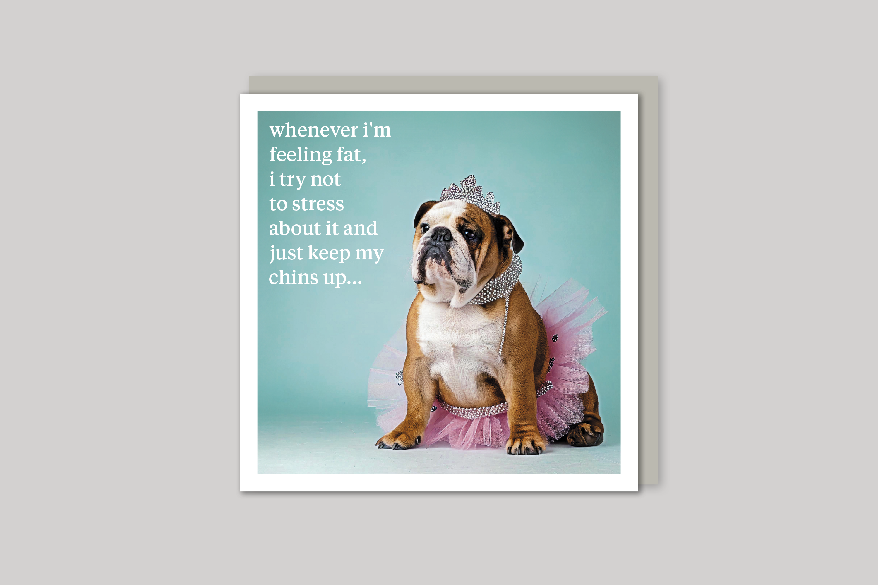 Feeling Fat quirky animal portrait from Curious World range of greeting cards by Icon, with envelope.