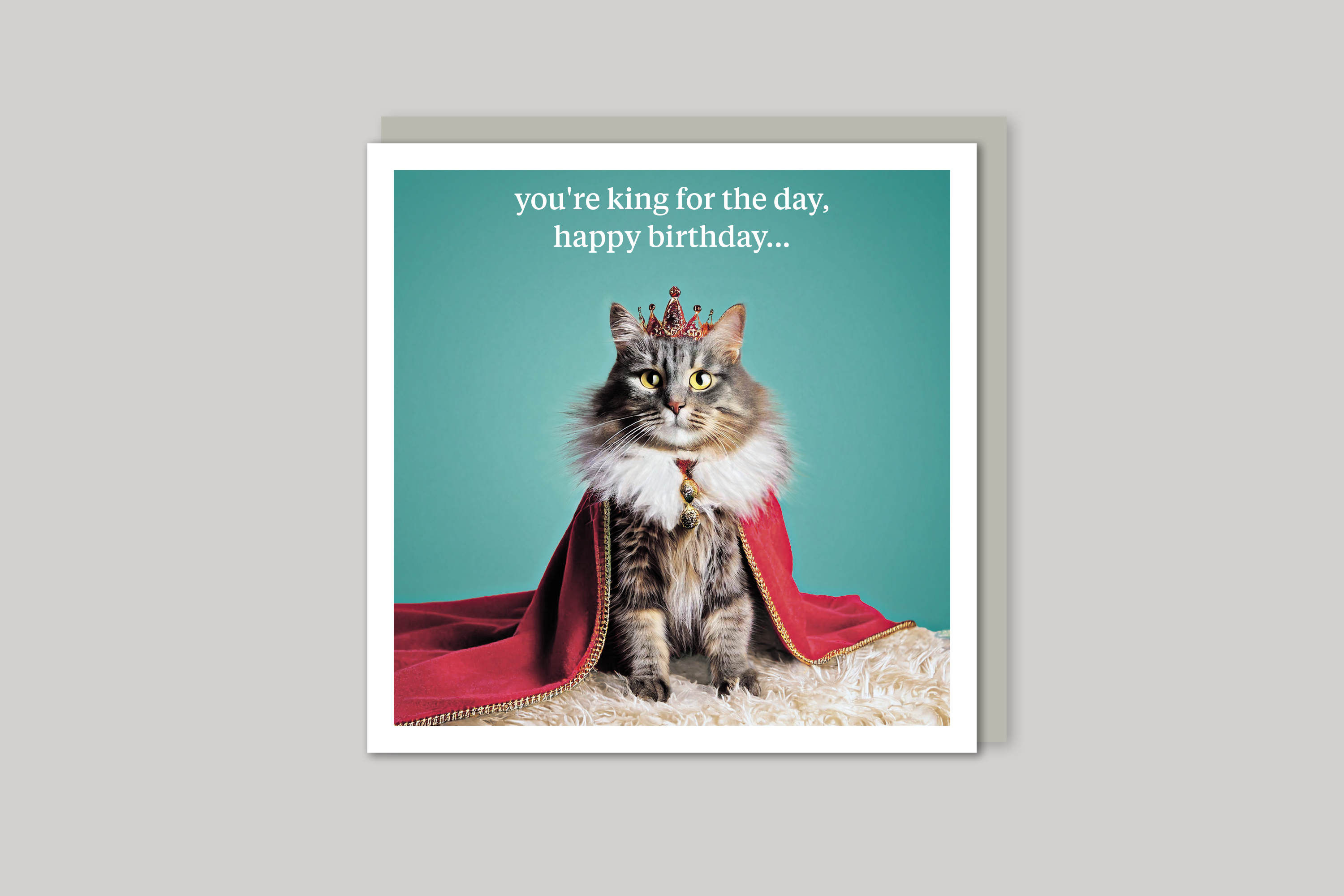 King for the Day quirky animal portrait from Curious World range of greeting cards by Icon, with envelope.