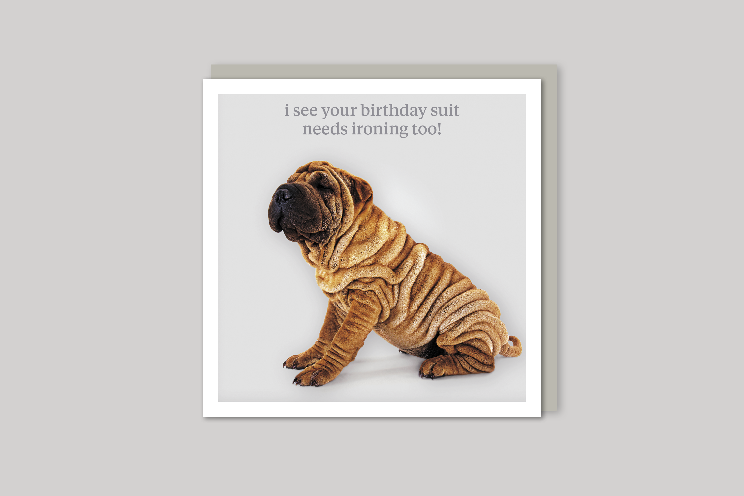 Birthday Suit quirky animal portrait from Curious World range of greeting cards by Icon, with envelope.