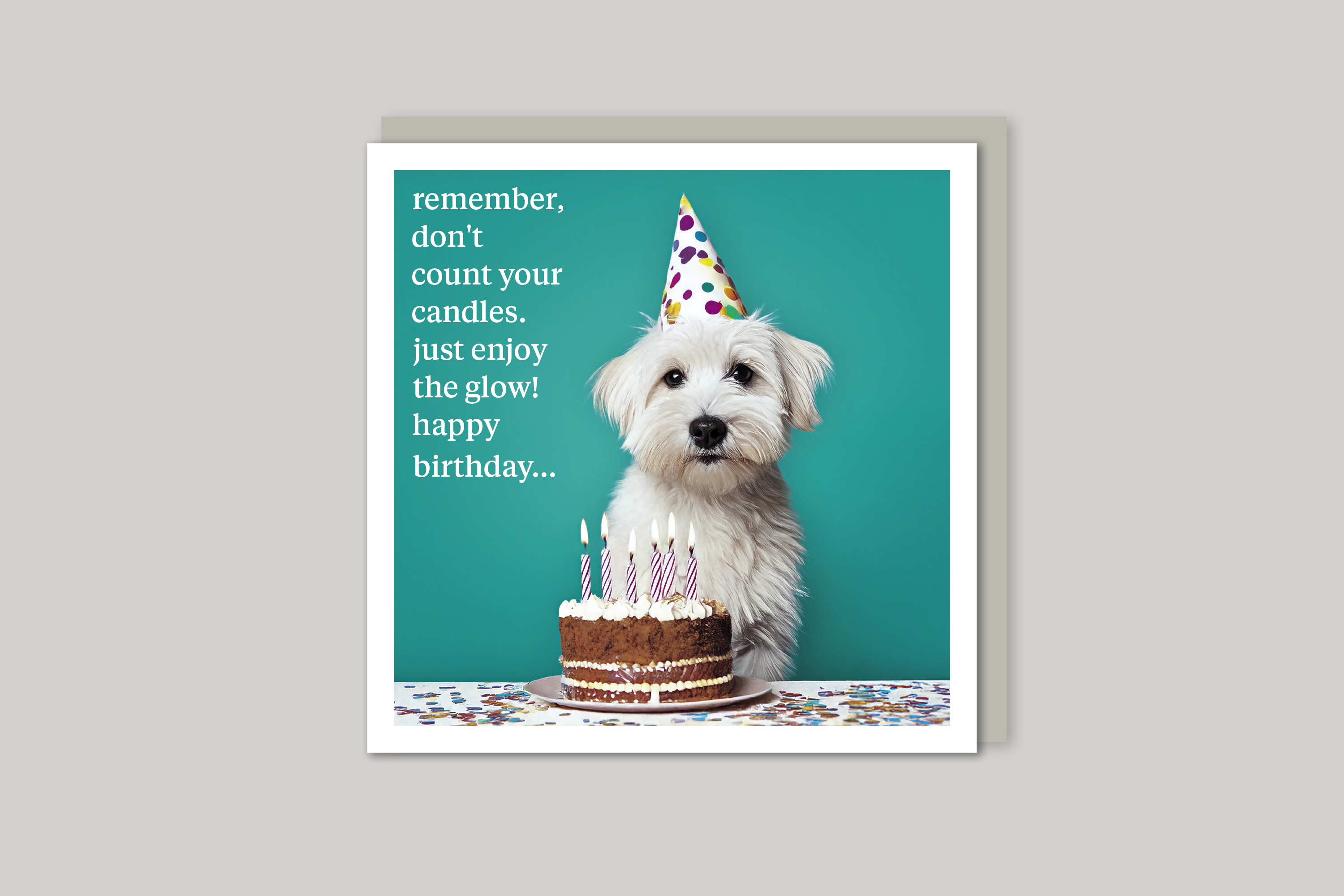 Enjoy the Glow quirky animal portrait from Curious World range of greeting cards by Icon, with envelope.