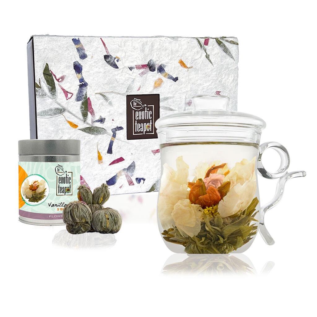 Infuser Mug Discovery Tea Set