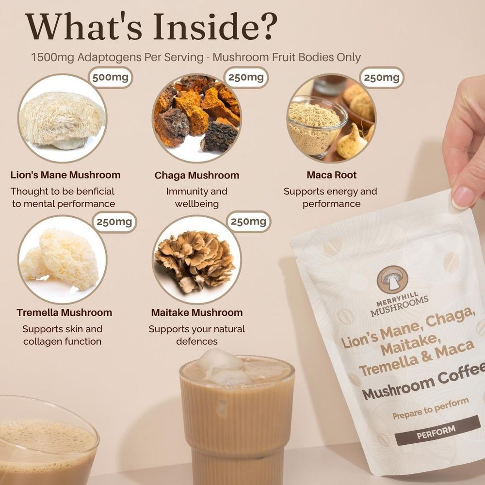 Perform Mushroom Coffee - Infographic