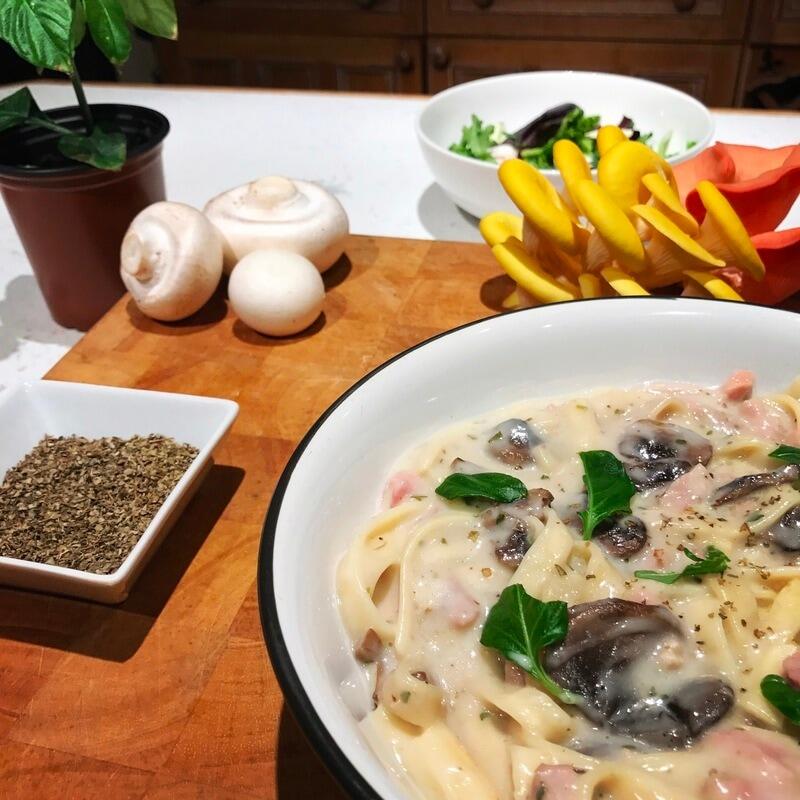 Mushroom Tagliatelle