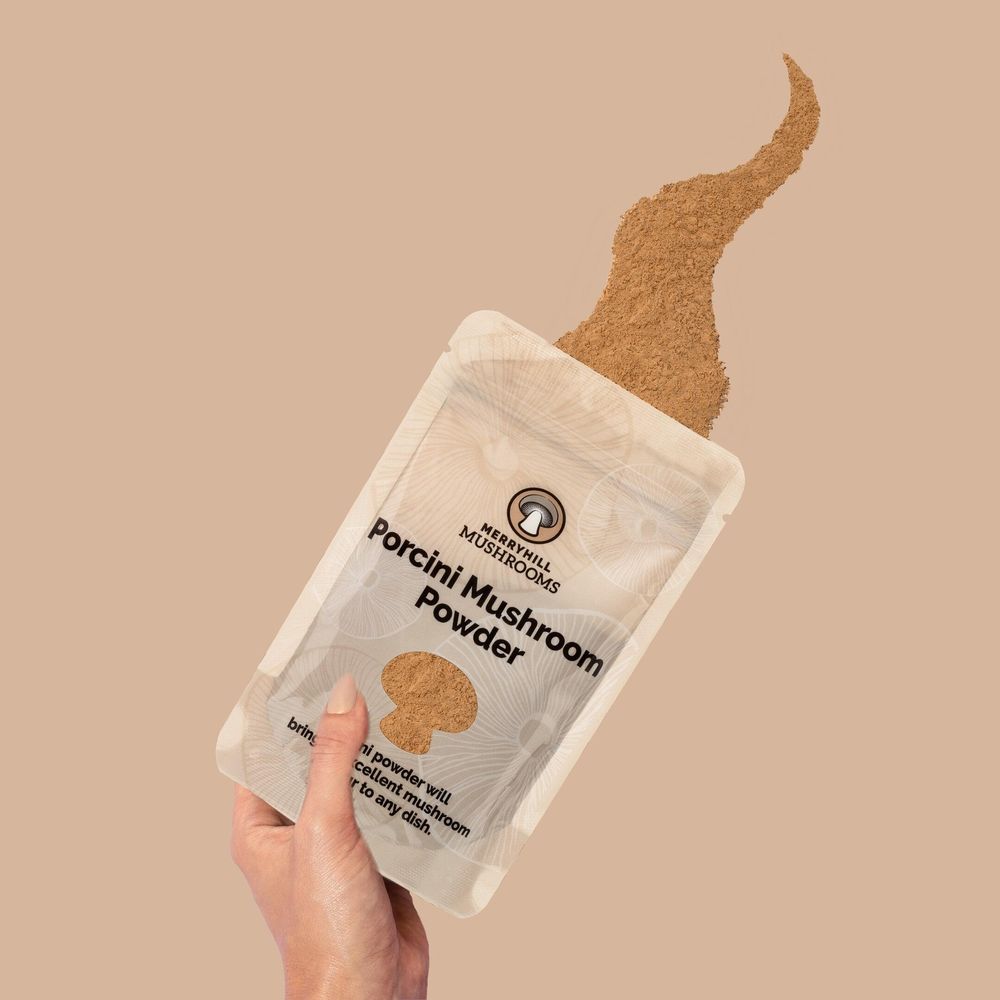 Packet of Porcini Powder with powder out of packet
