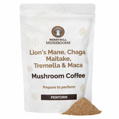 Apoptogenic mushroom coffee containing Lion's Mane, Chaga, Maitake, Tremella and Maca in packaging