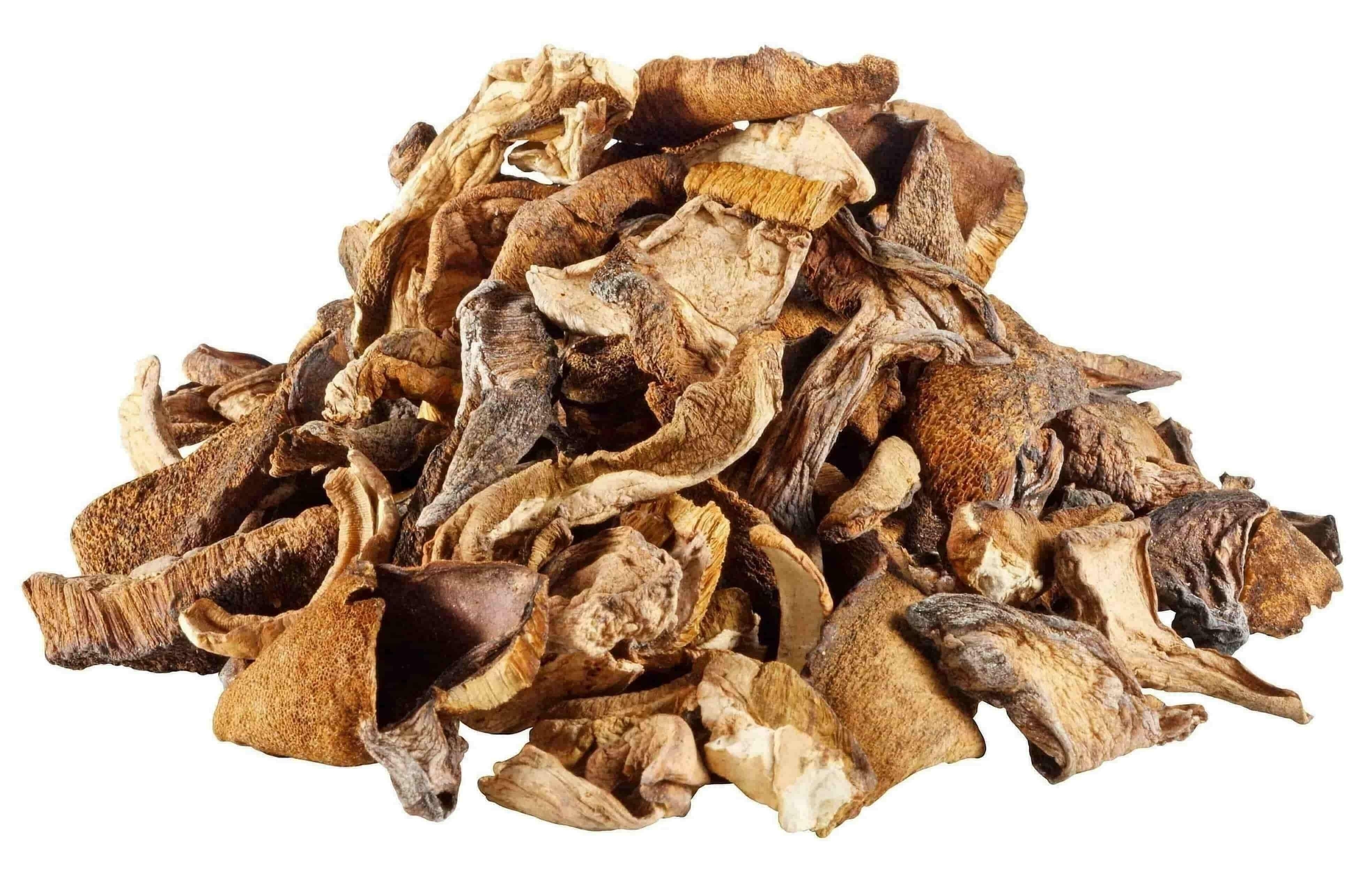Image ofPORCINI MUSHROOMS