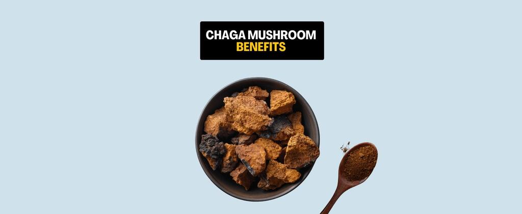 Chaga Mushroom Benefits: What It Is, How People Use It, and What to Expect | Merryhill Mushrooms