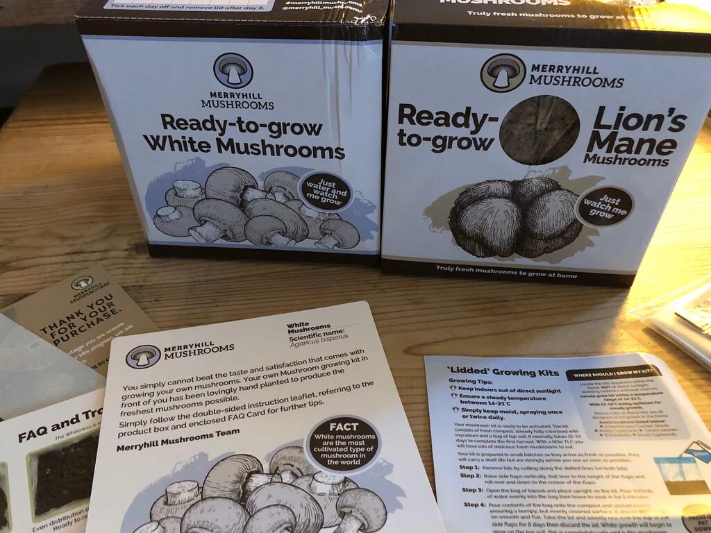 The Urban Veg Patch - Merryhill Mushrooms Growing Kit Review