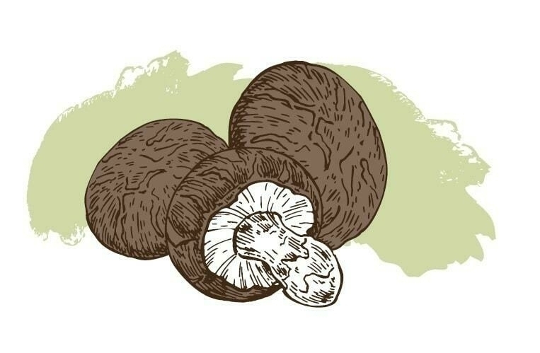 Image ofShiitake Mushroom Growing Kit