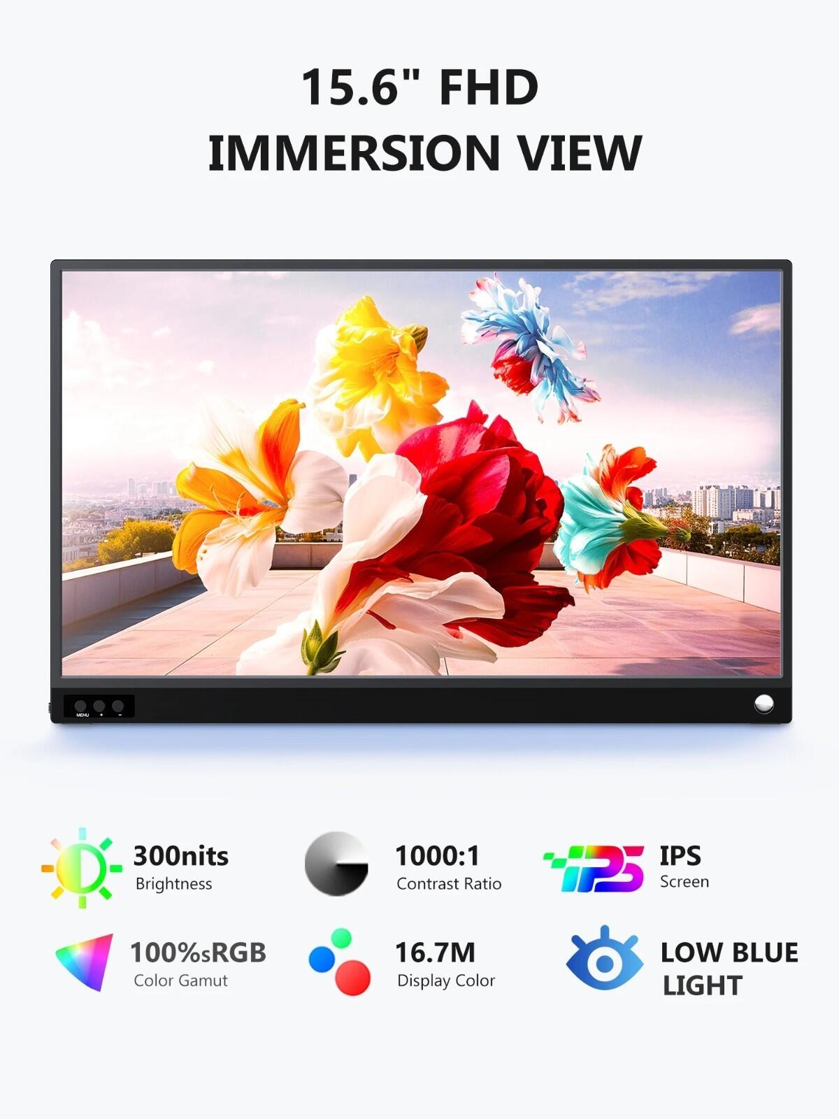 VESA mountable portable monitor