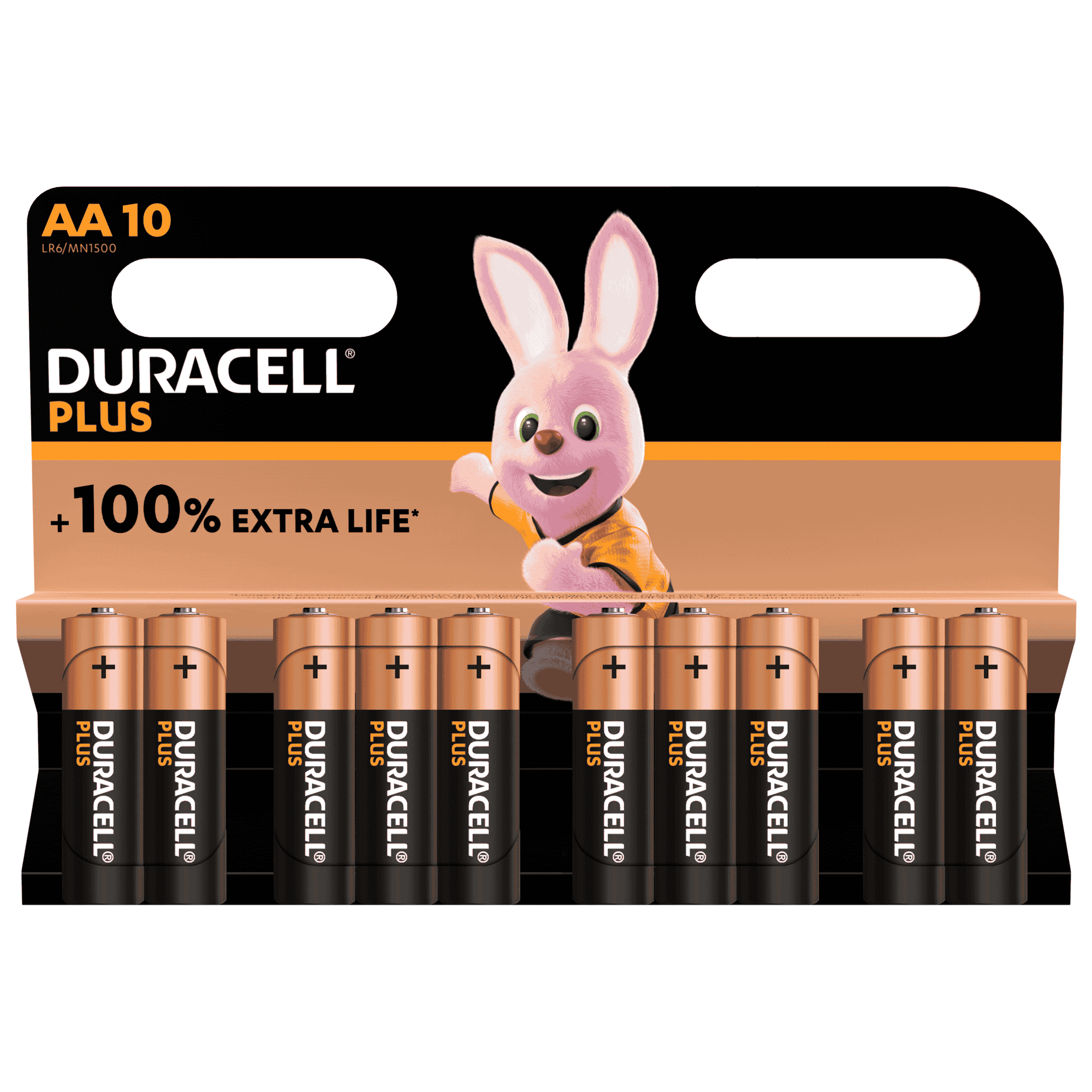 s19034 1 aa 10pack - image 1