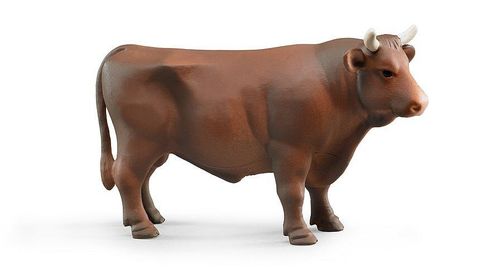 bru02309e brown bull toy on white background