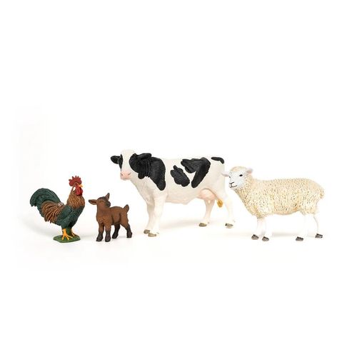 Animals on white background