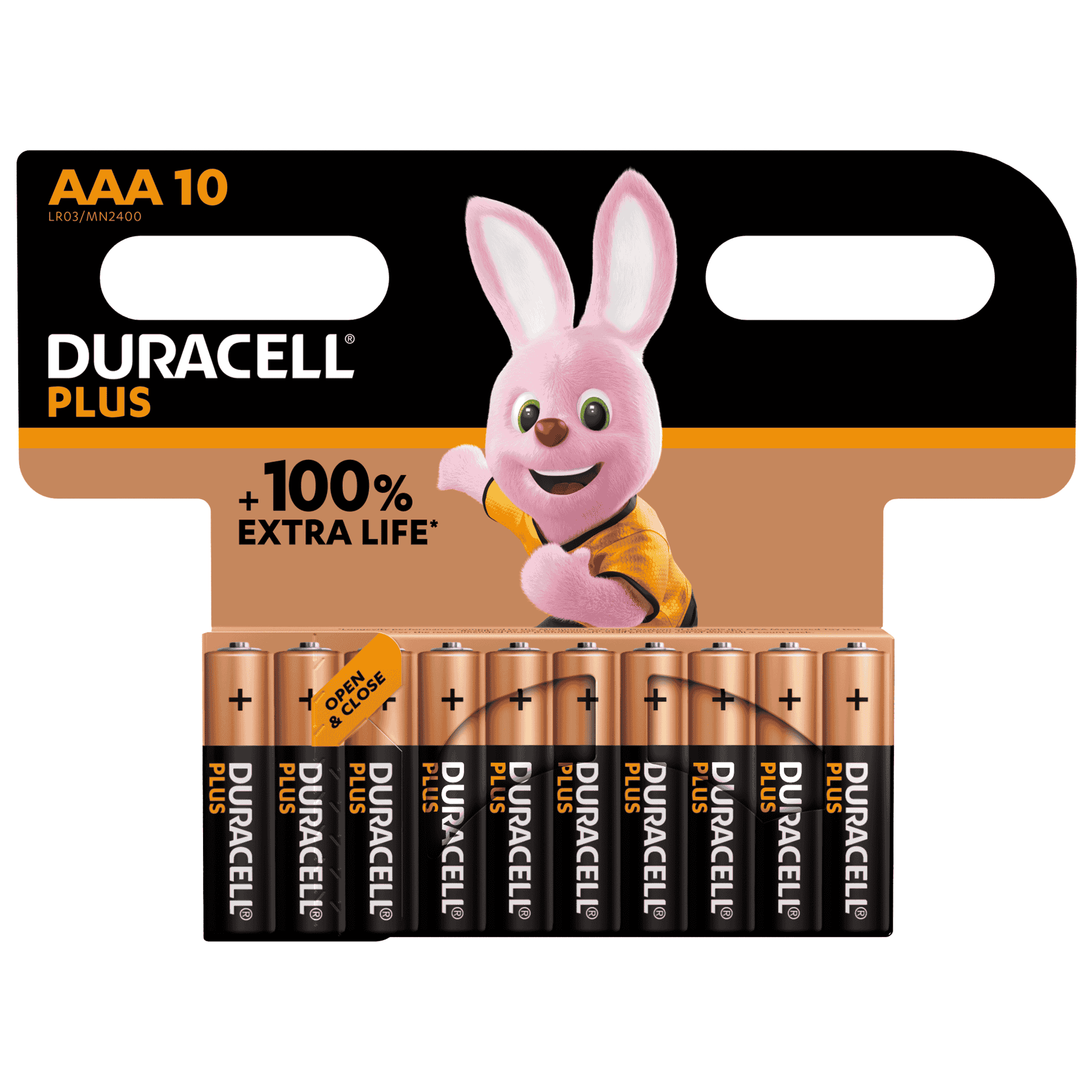 s19036 1 aaa 10pack - image 1