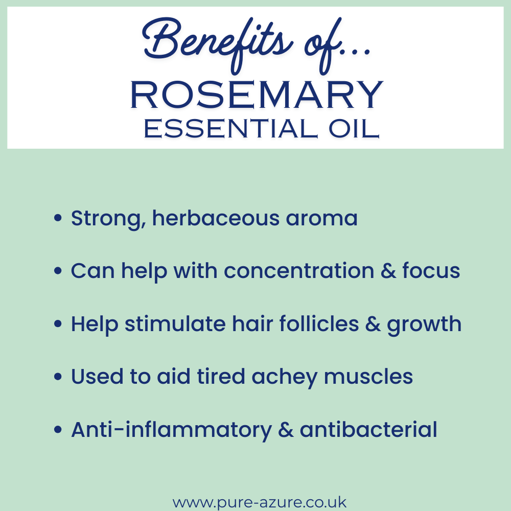 Organic Rosemary essential oil benefits