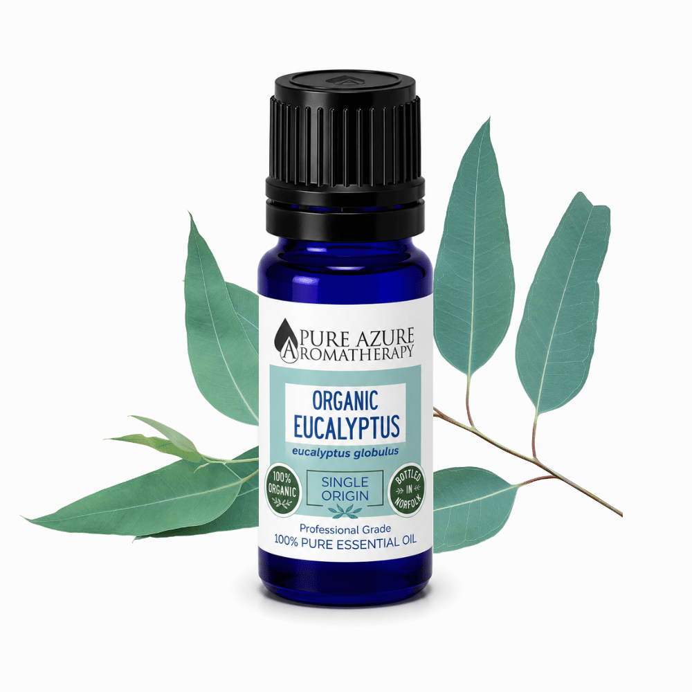 Organic Eucalyptus essential oil