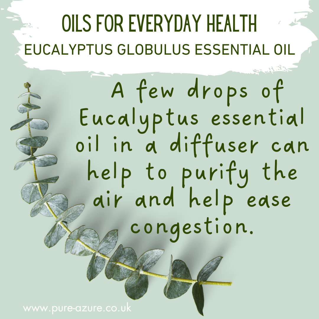 Organic eucalyptus globulus essential oil use