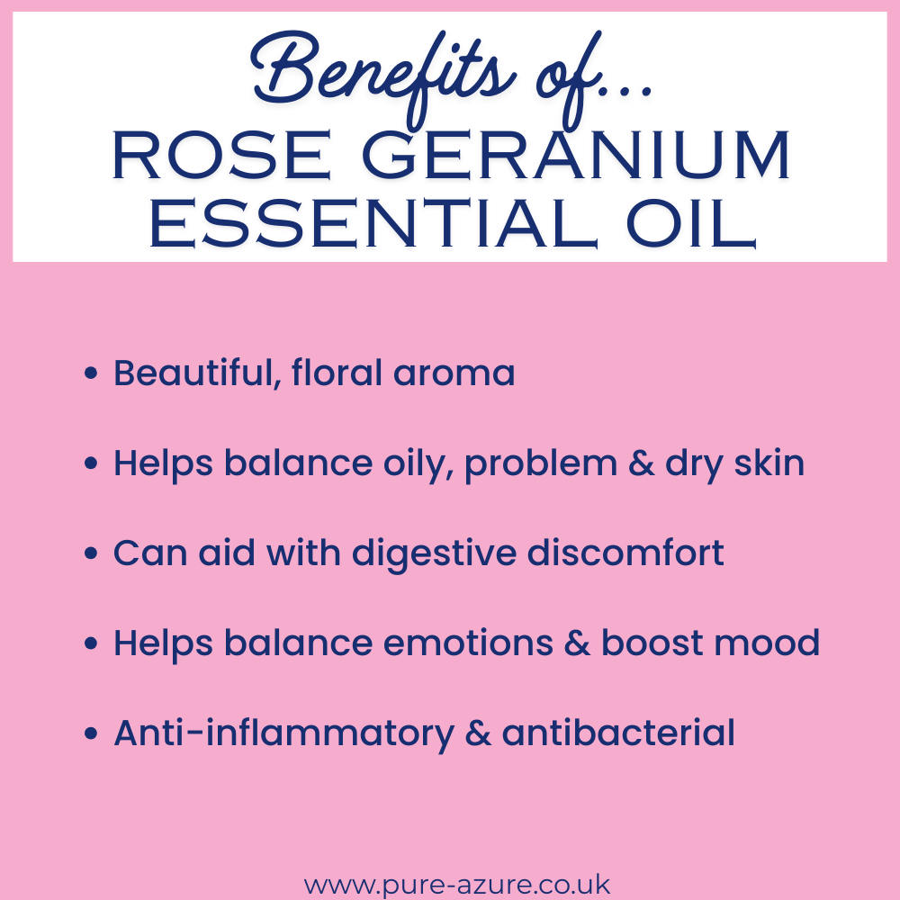 Organic Rose Geranium essential oil benefits
