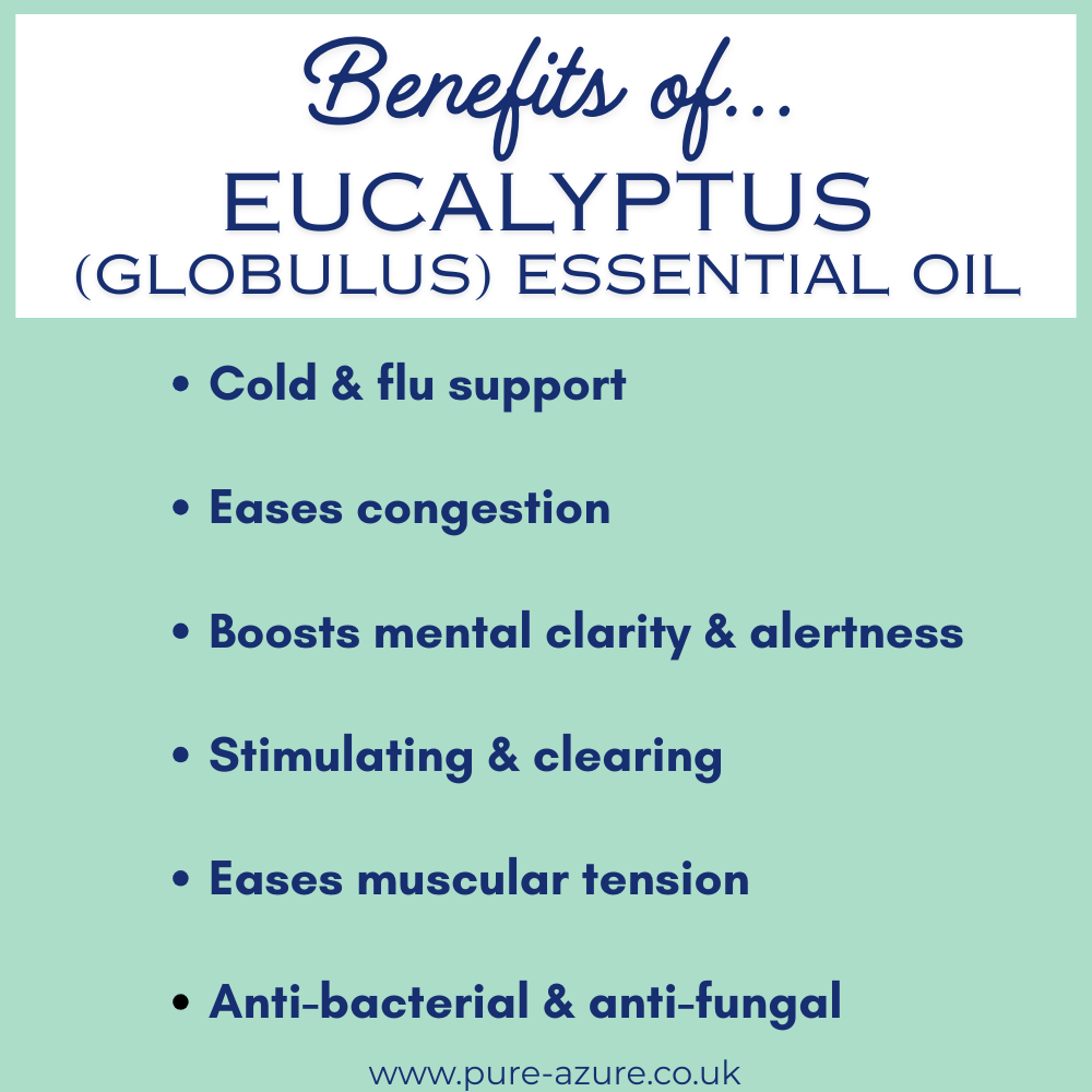 Organic eucalyptus globulus essential oil benefits