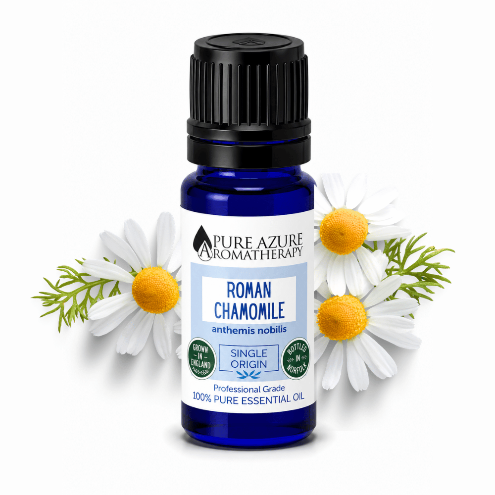Roman Chamomile Essential Oil flowers