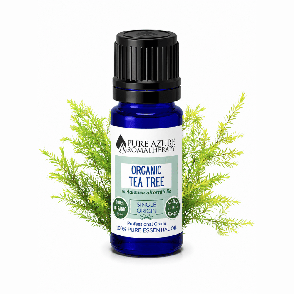 Organic Tea Tree essential oil Pure Azure