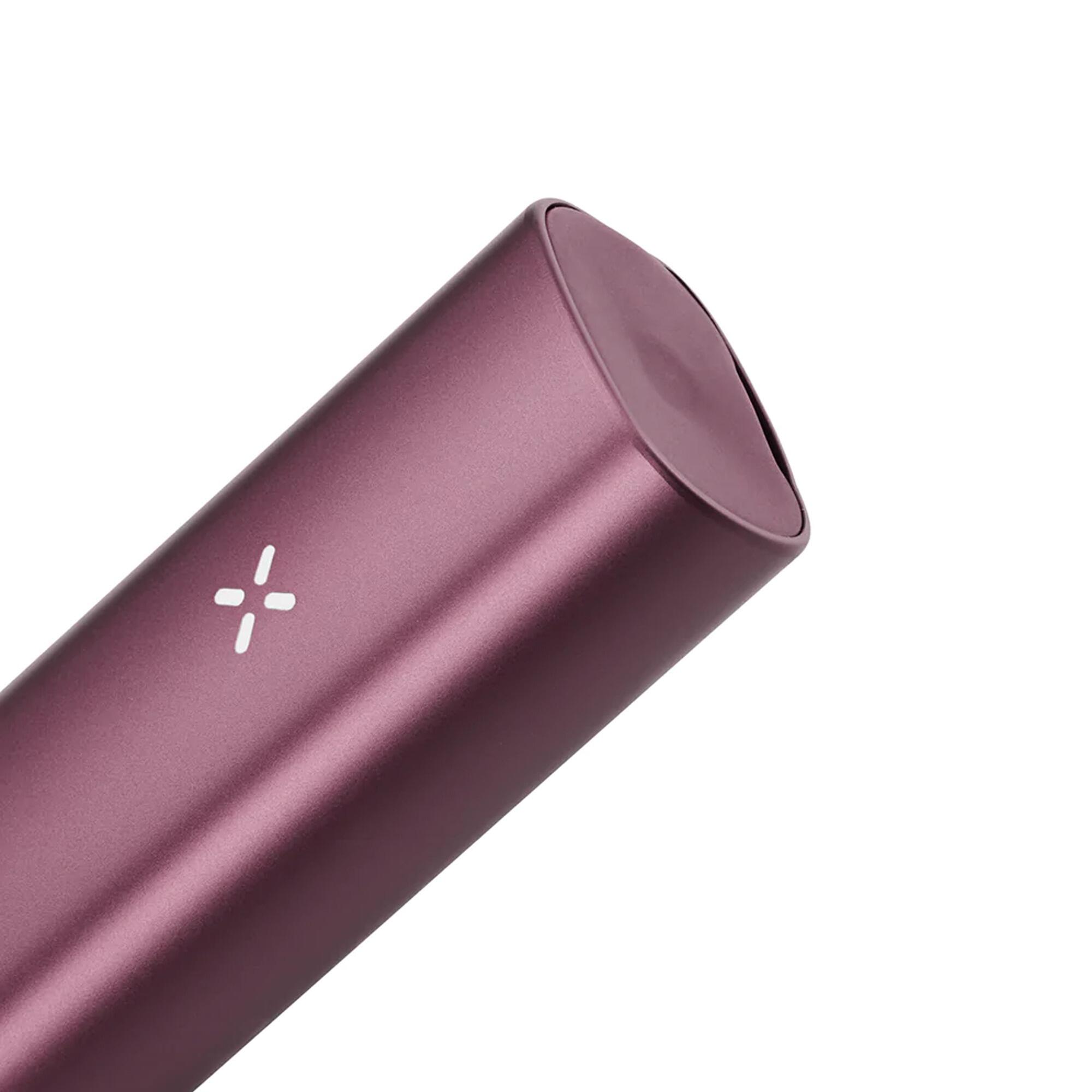 pax-plus-elderberry-closeup