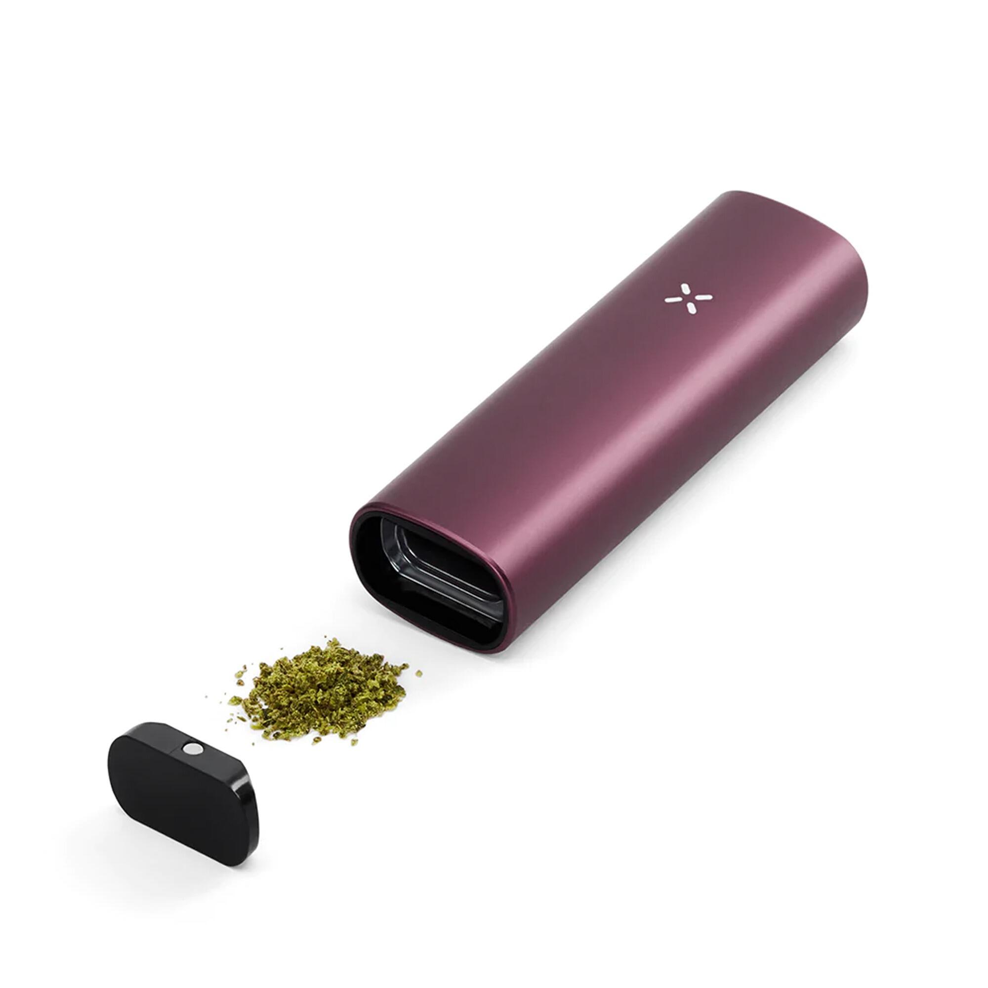 pax-plus-elderberry-open