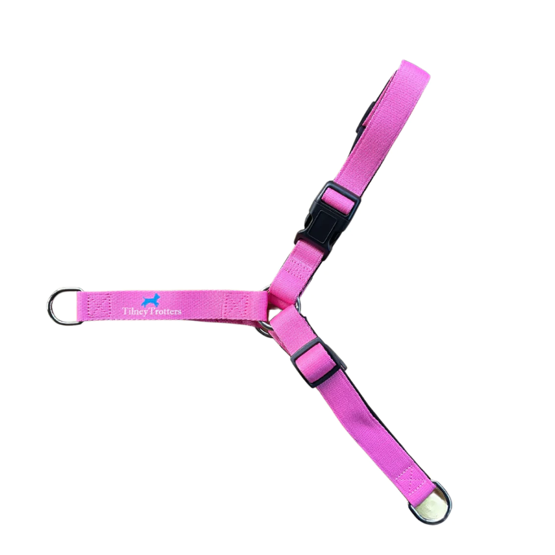 Pink no pull harness