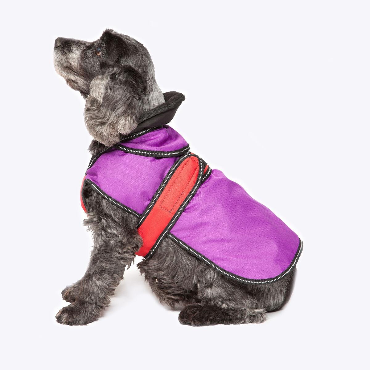 Danish Design Ultimate 2 in 1 Dog Coat, Purple