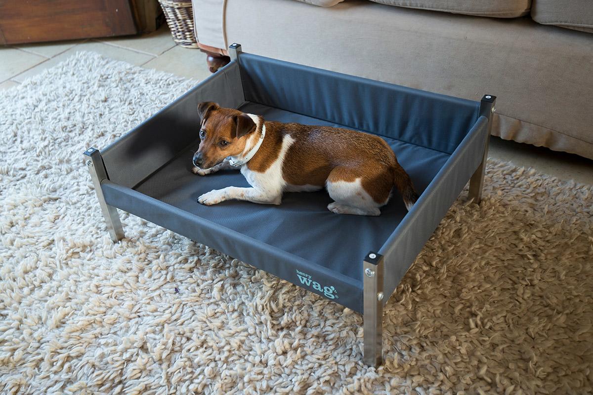 Henry Wag Elevated Dog bed