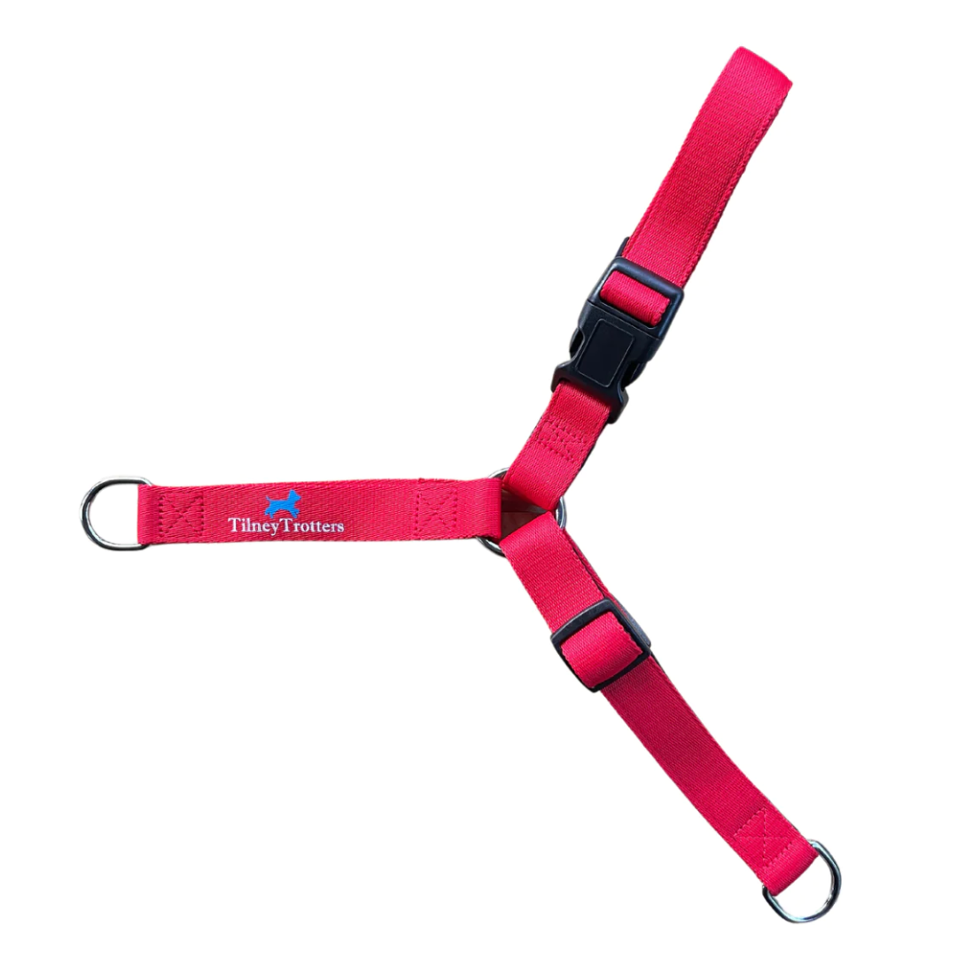Red no pull harness