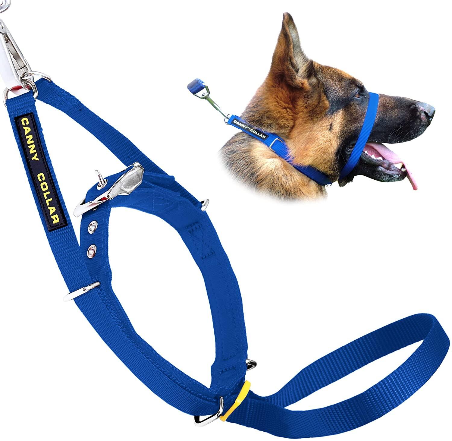 BlueCanny Collar Size 6