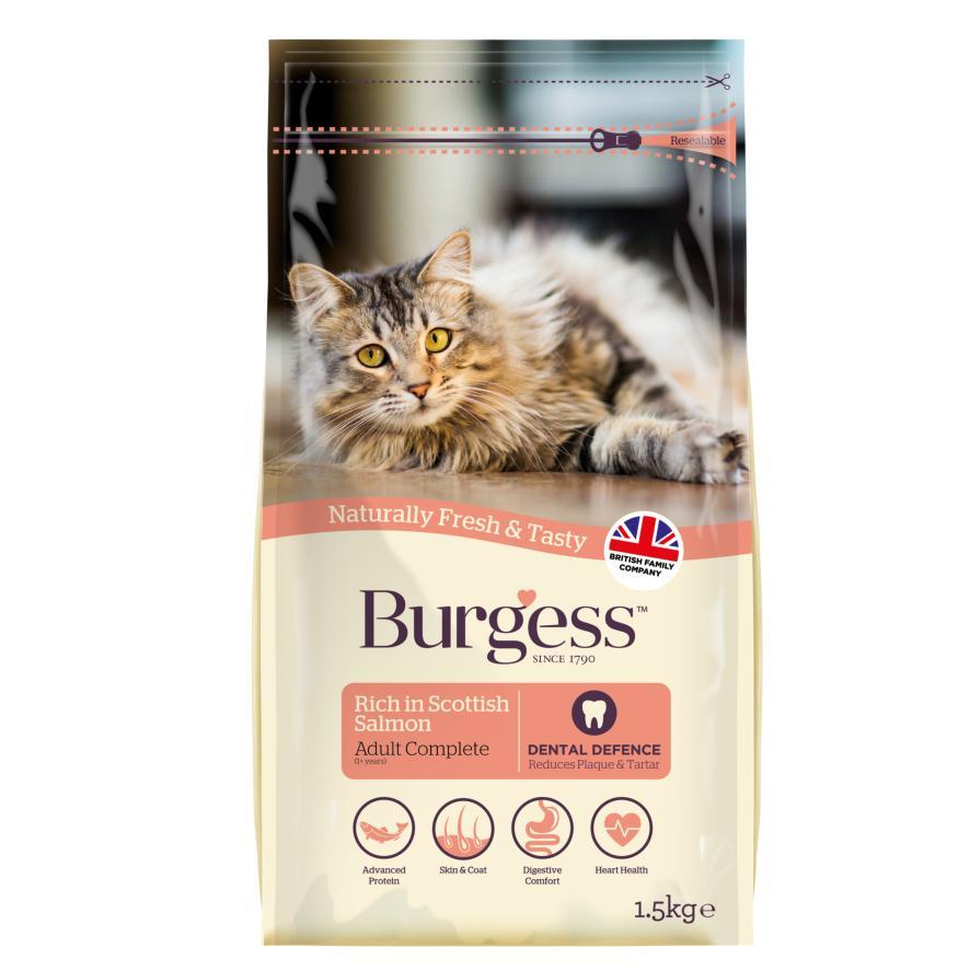 Burgess Adult Cat with Salmon