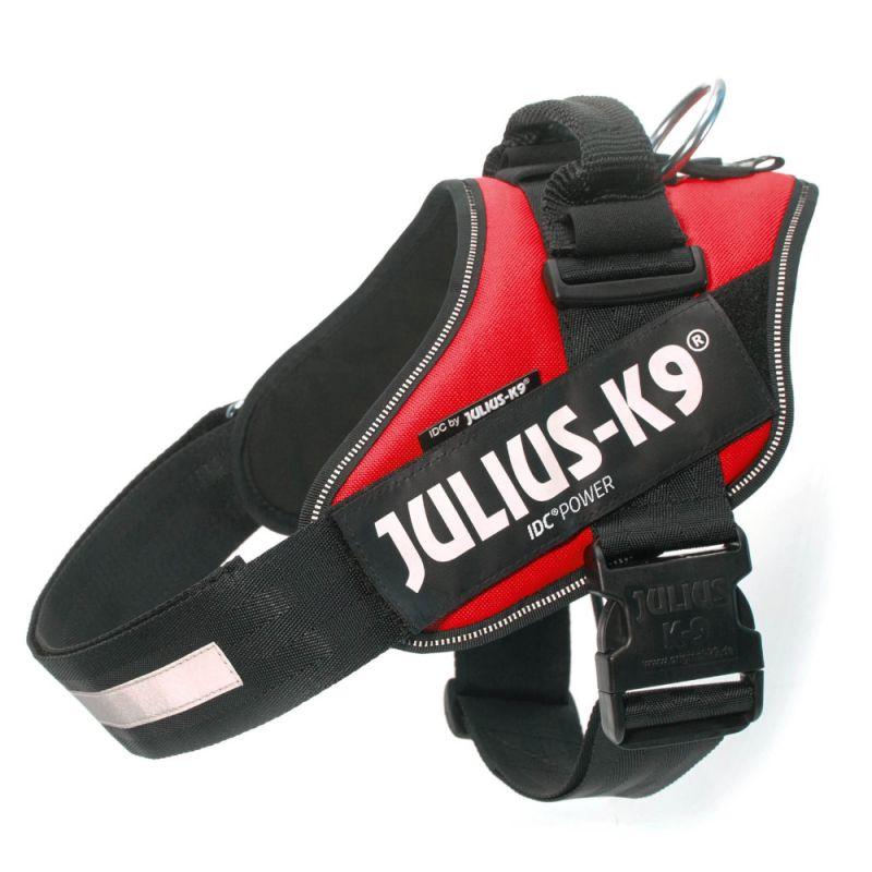 Red Baby Julius Harness