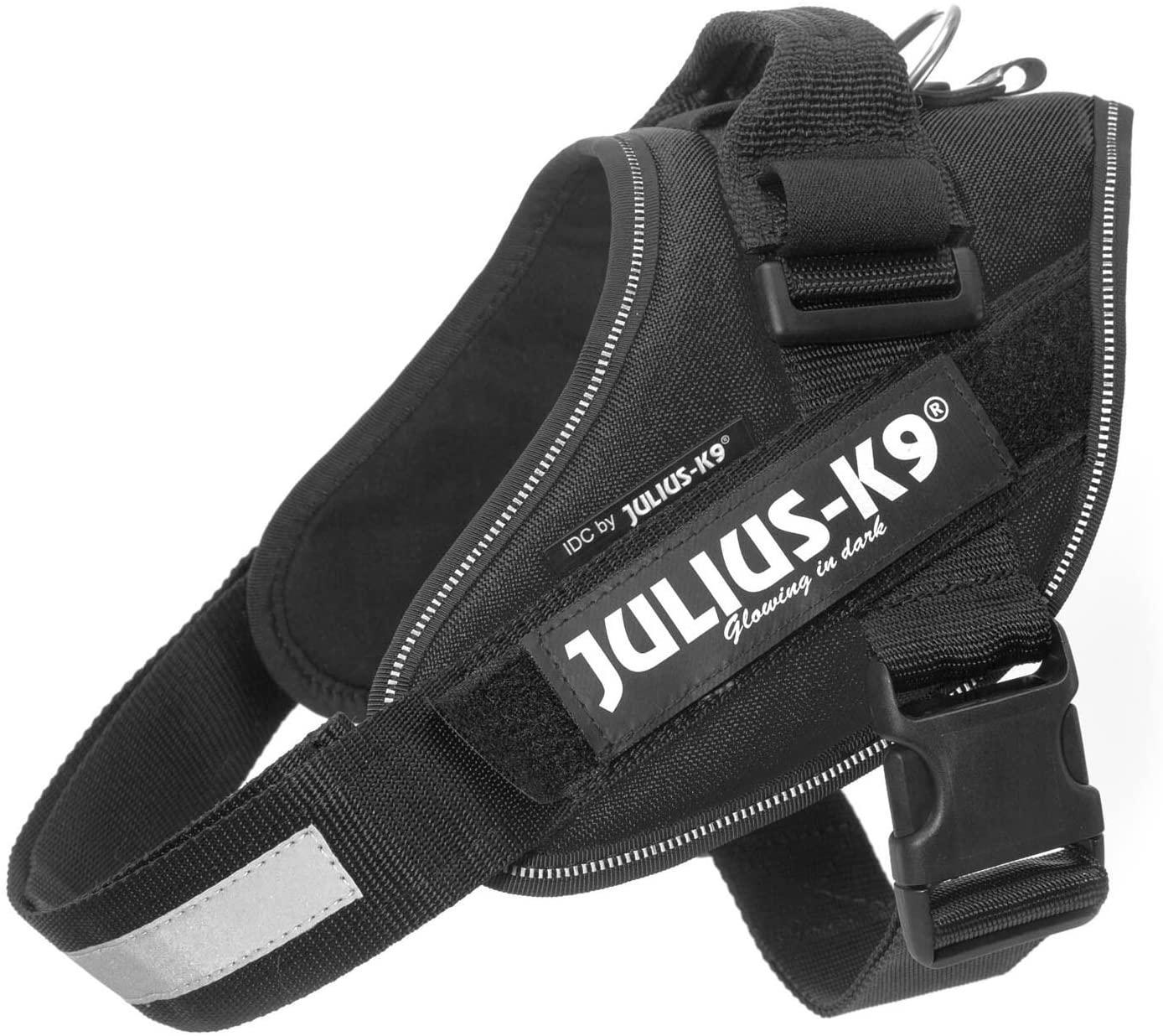 julius black harness