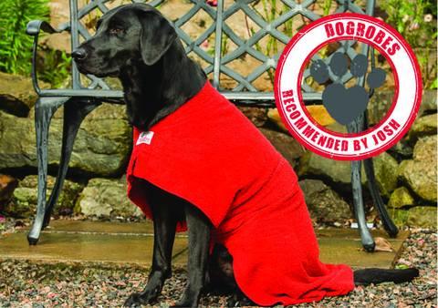 Dogrobe for Christmas!