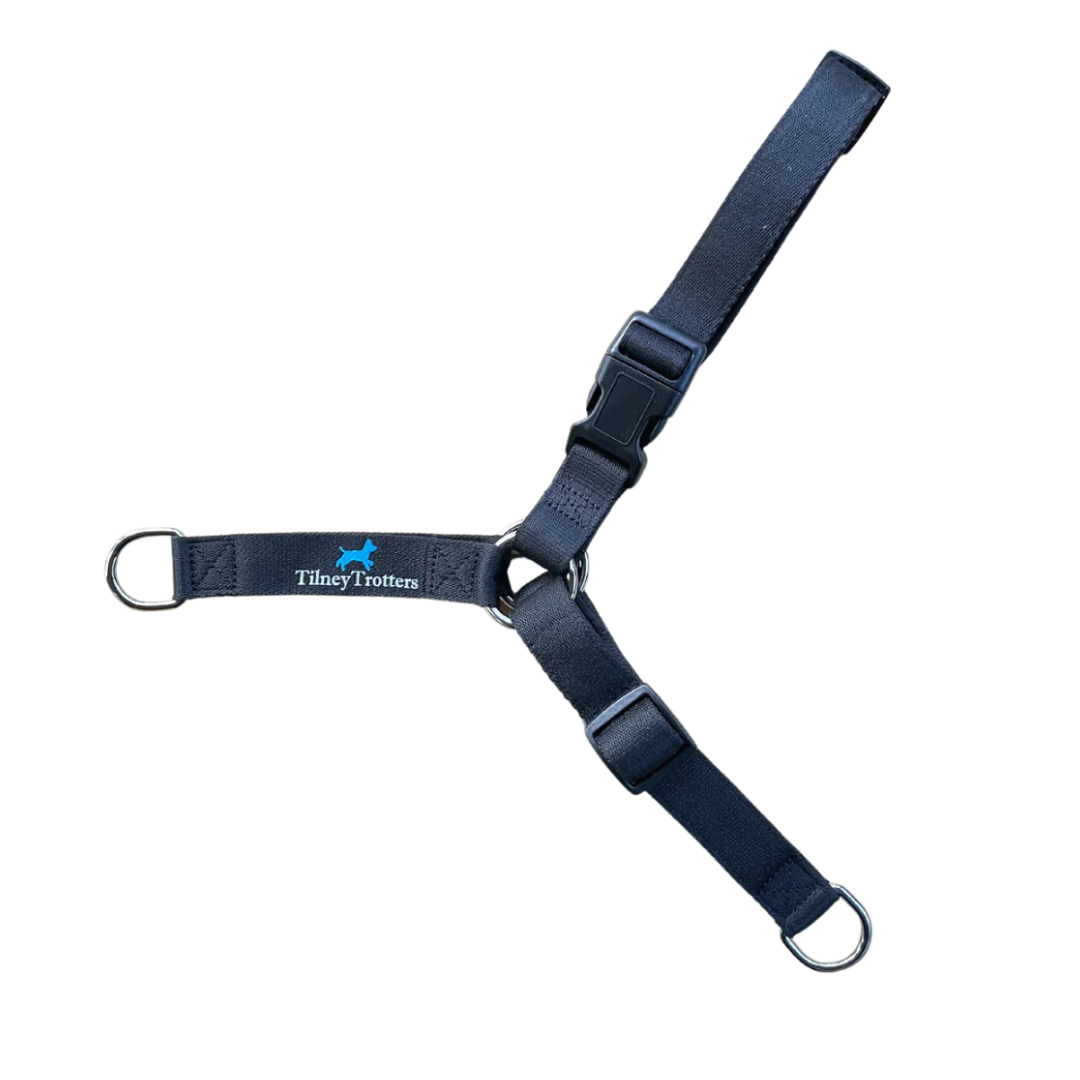 black no pull harness