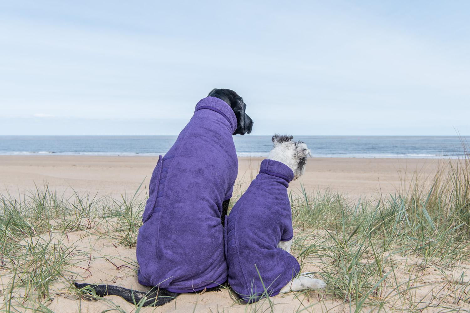 2 dogs on beach in drying coat