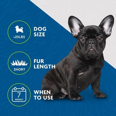 Furminator Undercoat deShedding Tool - Small Dog - Short Hair