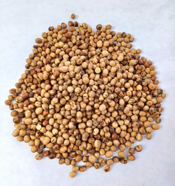 tic beans