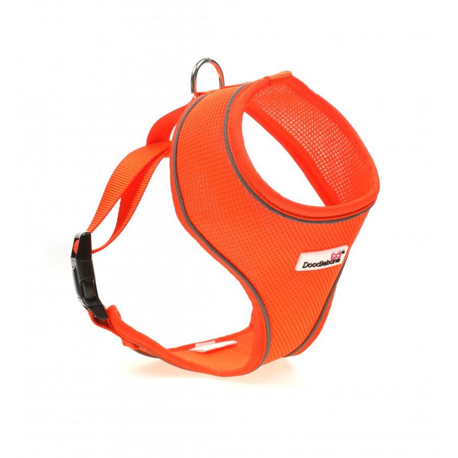 Doodlebone Originals Airmesh Harness Tangerine