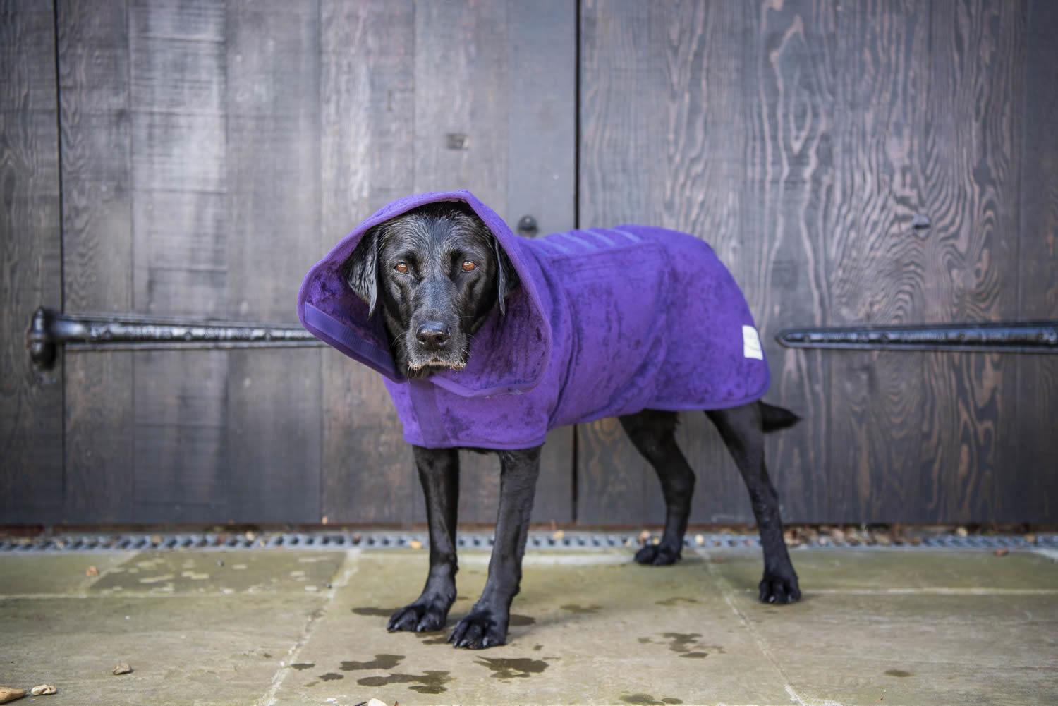 heather dog coat with hood