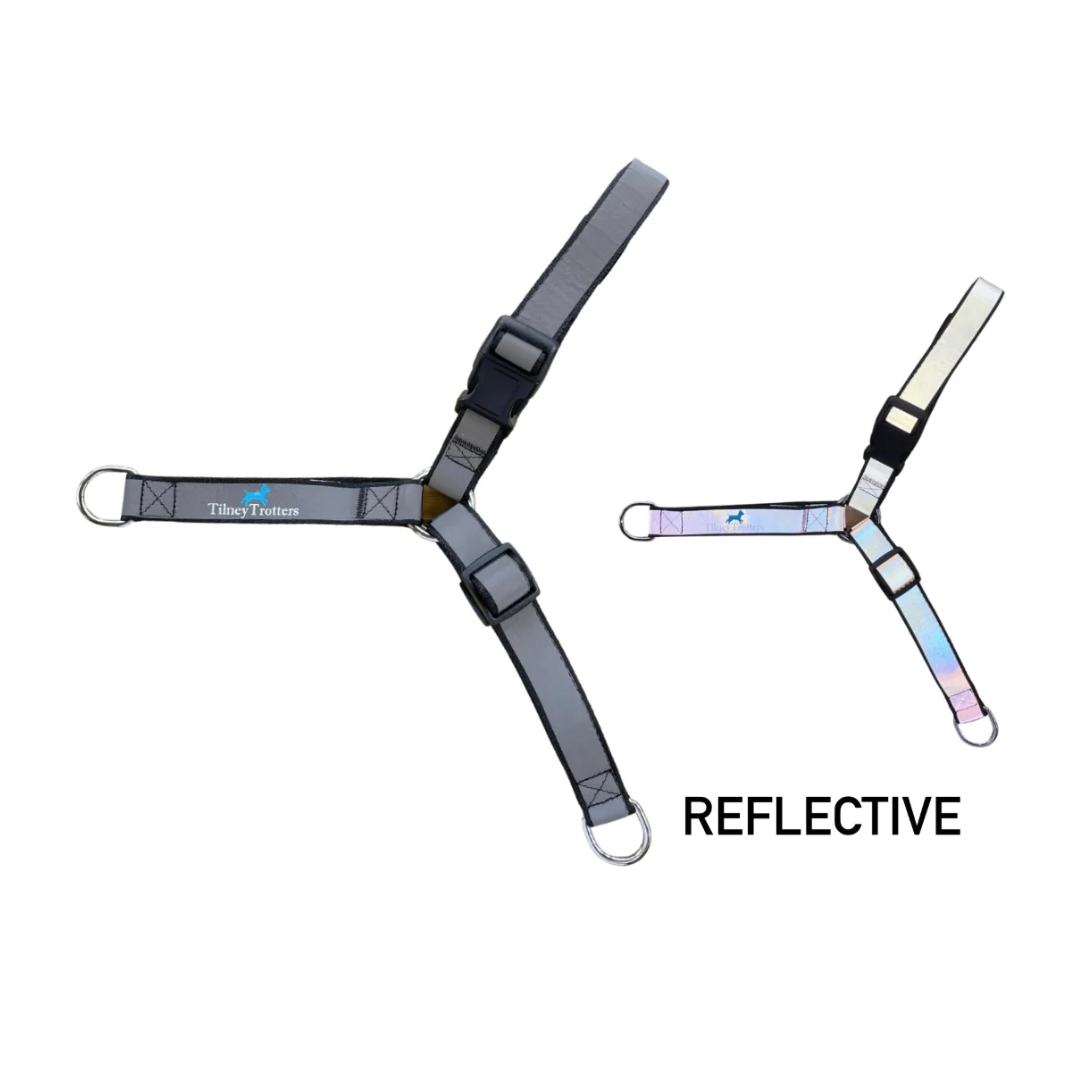Reflective no pull harness