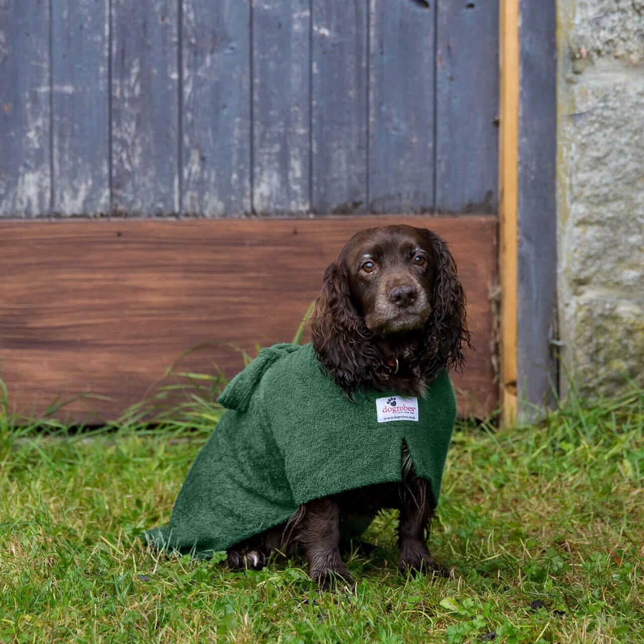 Green Dogrobes Drying Coat for Dogs