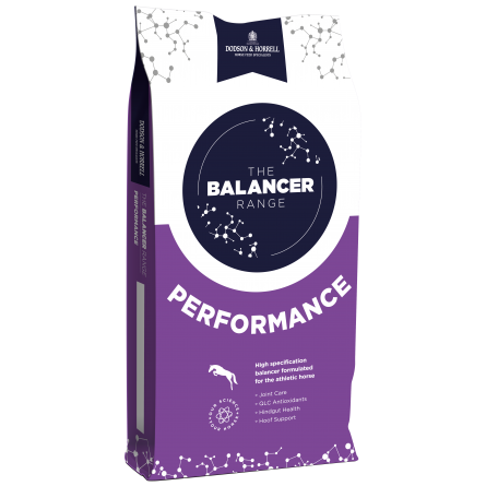 Dodson & Horrell Performance Balancer 15kg