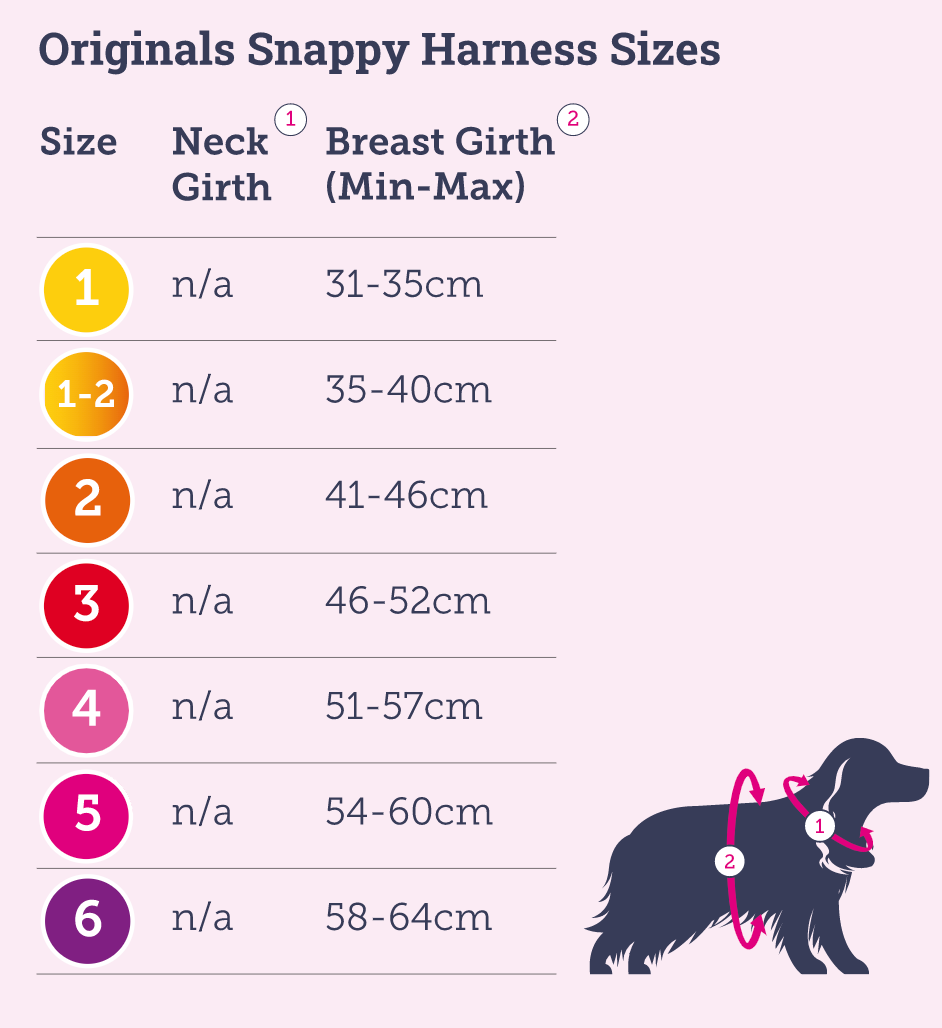 Doodlebone snappy size chart
