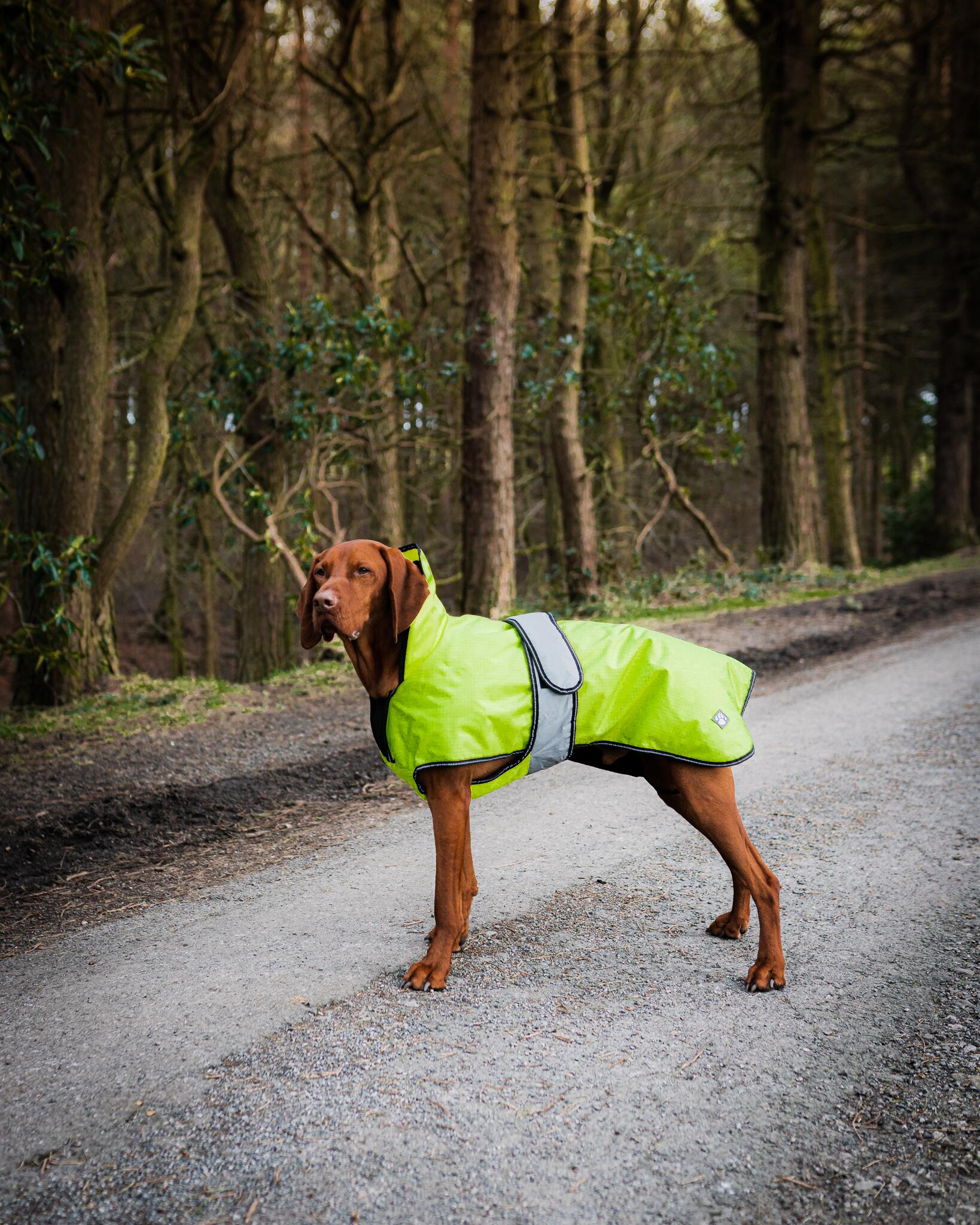 Danish Design Ultimate 2 in 1 Dog Coat, Hi-Vis