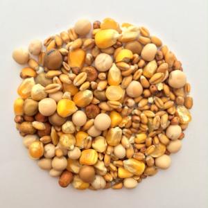 Pigeon - Winter Mix 20kg