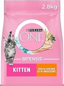 Purina ONE Kitten